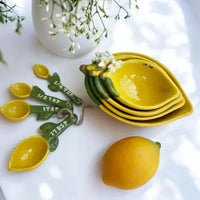 Citrus Accent - House Journey