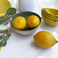 Citrus Accent - House Journey