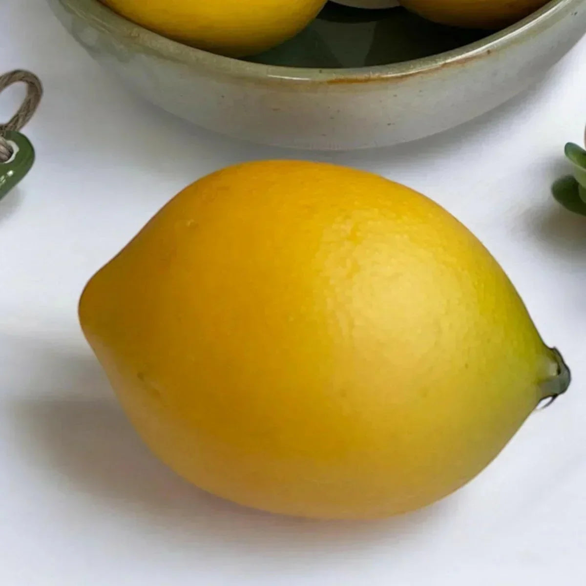 Citrus Accent - House Journey