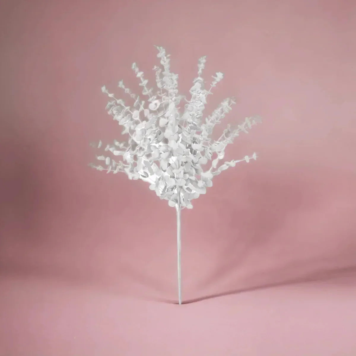 Eucalyptus Branch (White) - House Journey