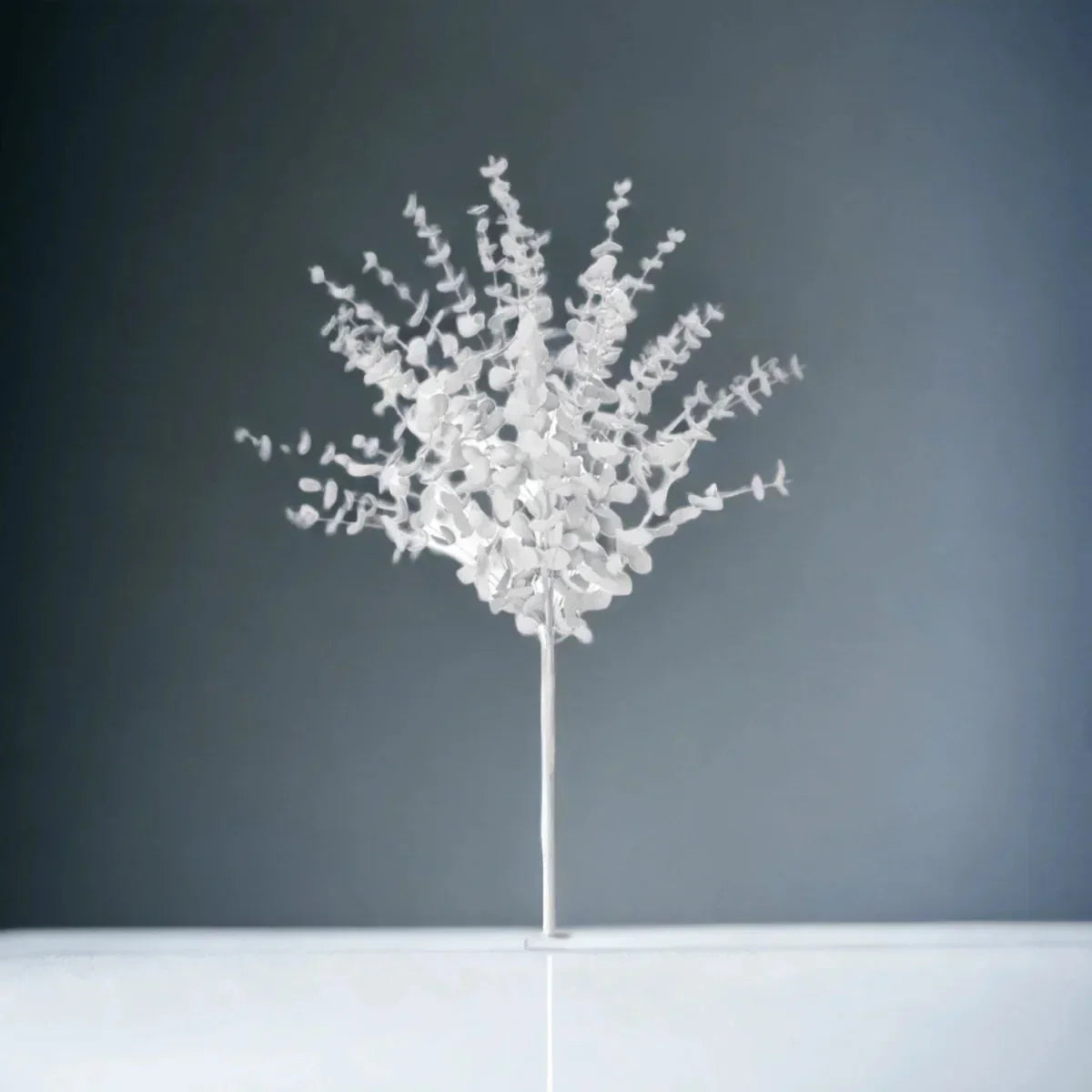 Eucalyptus Branch (White) - House Journey
