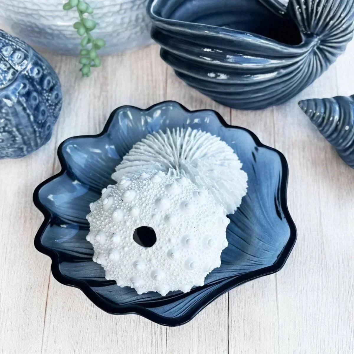 Fungia Coral Sculpture - House Journey
