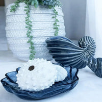 Fungia Coral Sculpture - House Journey