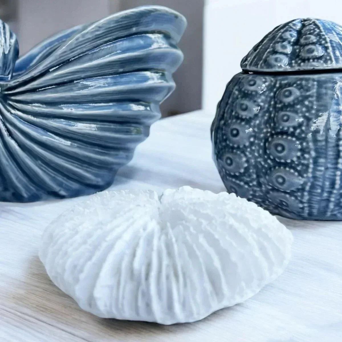 Fungia Coral Sculpture - House Journey