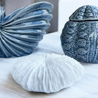 Fungia Coral Sculpture - House Journey