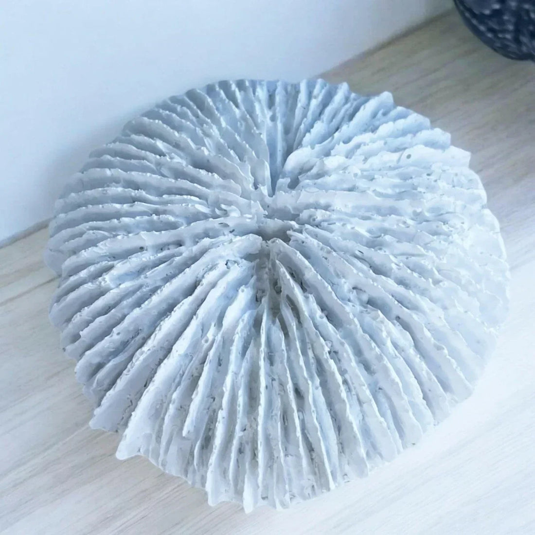 Fungia Coral Sculpture