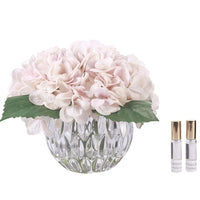 Cote Noire Luxury Hydrangeas - Blush