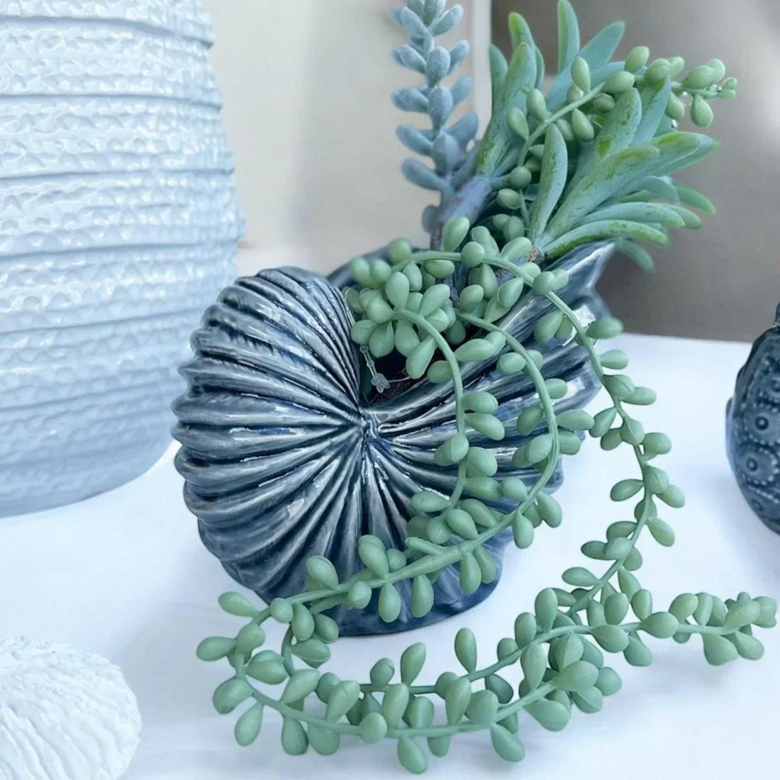 Nautilus Shell Sculpture - Exquisite Homewares 