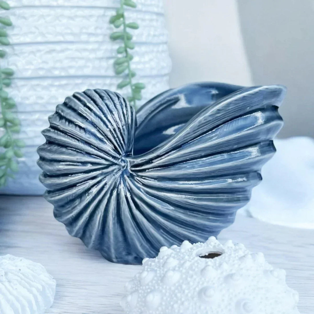 Nautilus Shell Sculpture