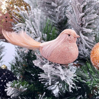 Pale Pink/Peach Curl Clip Bird - Exquisite Homewares 