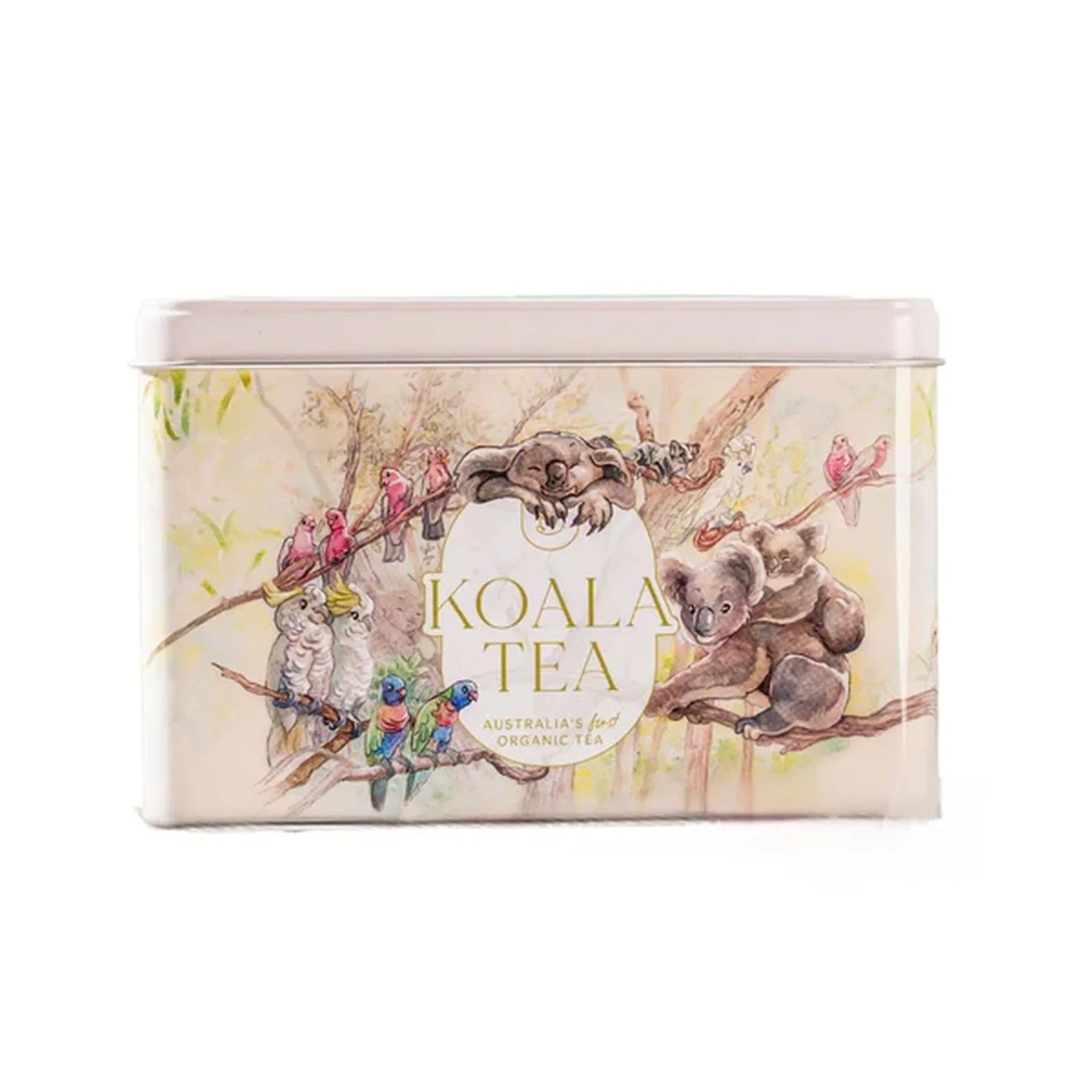 Koala Tea Rainforest Gift Tin - 25 Tea Bags