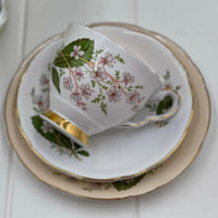 Royal Stafford Vintage London Pride Peach Colourway Trio - Exquisite Homewares 