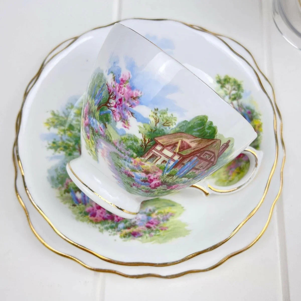 Royal Vale Vintage Country Cottage Trios x 2 - Exquisite Homewares 