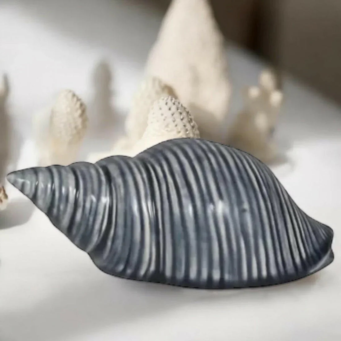 Sea Snail Shell Sculpture
