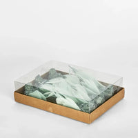 Spinky Clip-on Bird Mint Green (Set of 6) - Exquisite Homewares 