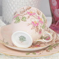 Tuscan C9123 Trio - Exquisite Homewares 