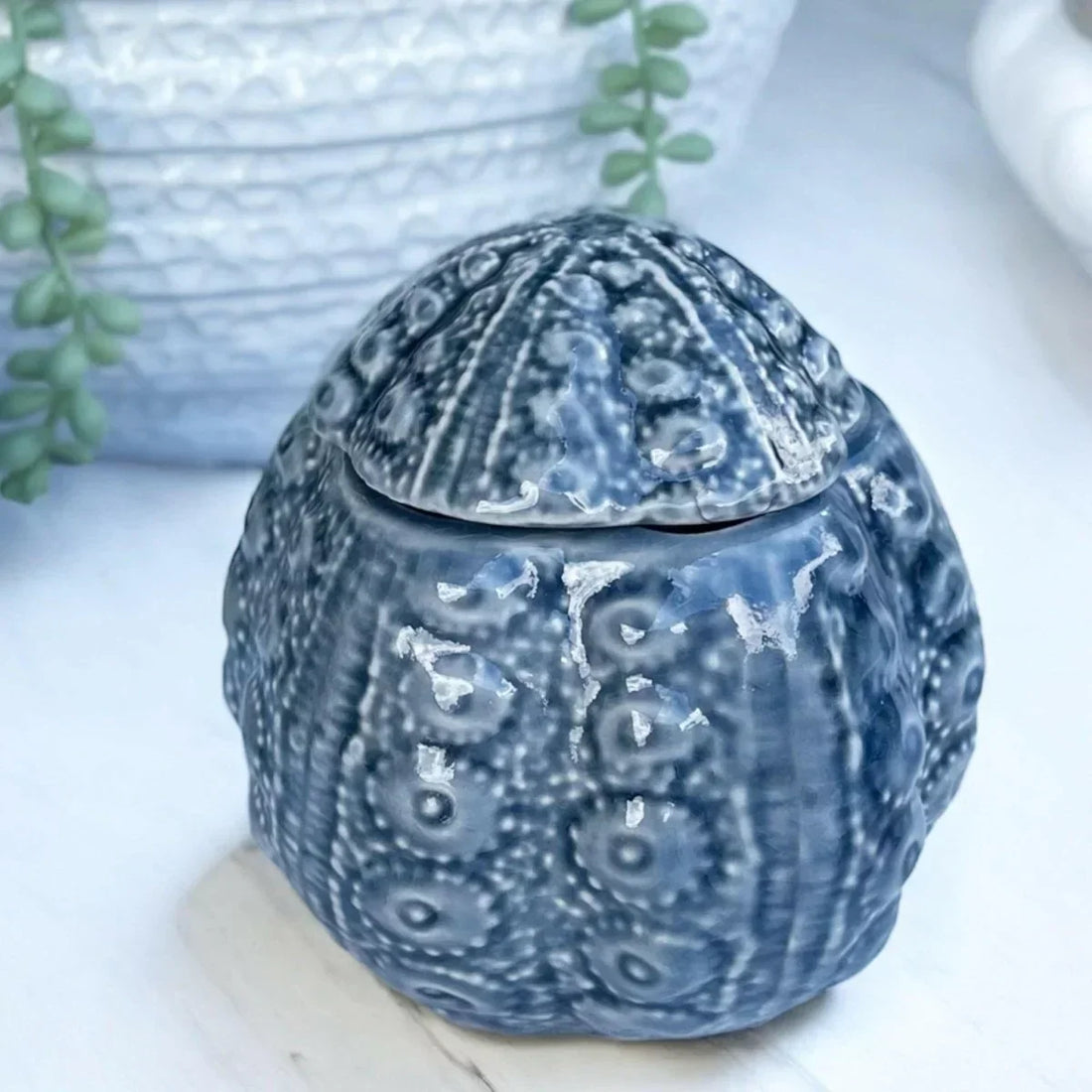 Urchin Trinket Jar