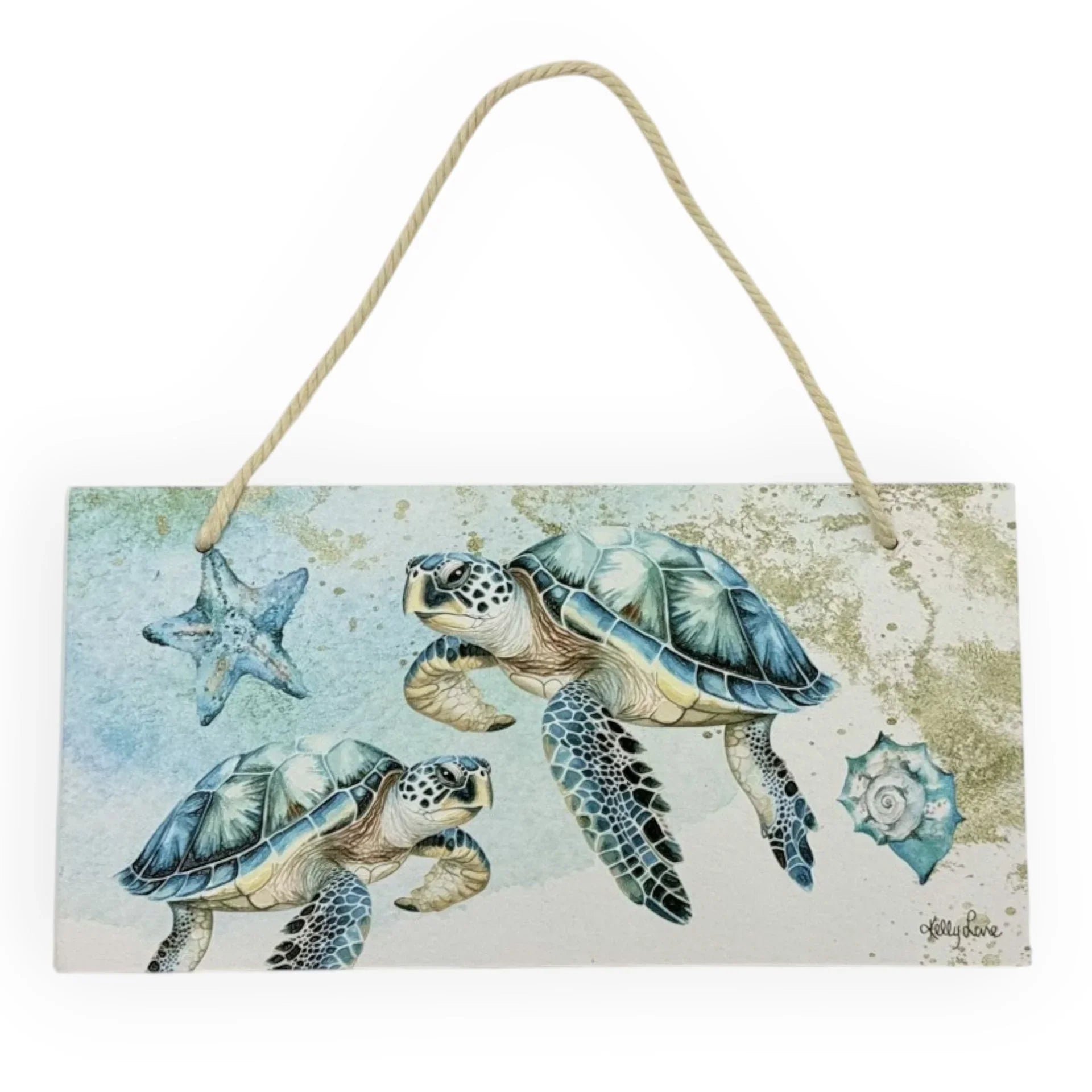 Aqua Turtle Hanging Plaque - 30cm