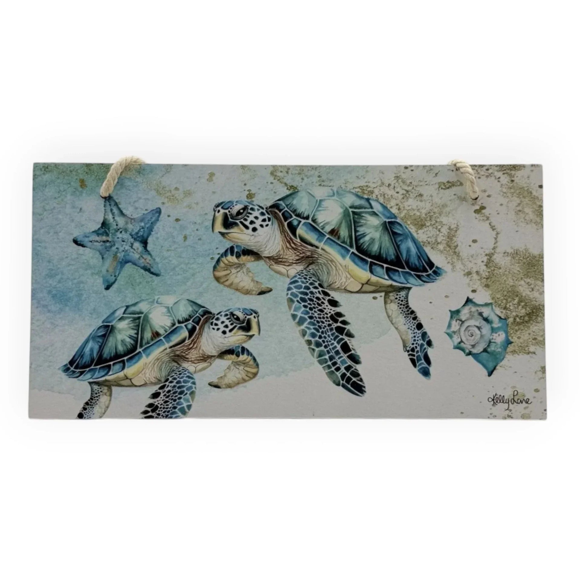 Sea turtle wall art with starfish and seashell, coastal home décor