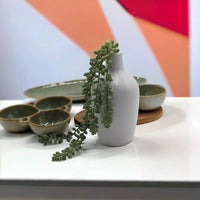 White ceramic vase with trailing succulent, green ceramic bowls, and wooden coasters on white shelf
