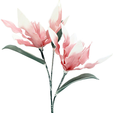 Pink Blossom Lilies Stem