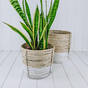 House Journey Crafted Willow Planters Set of 3