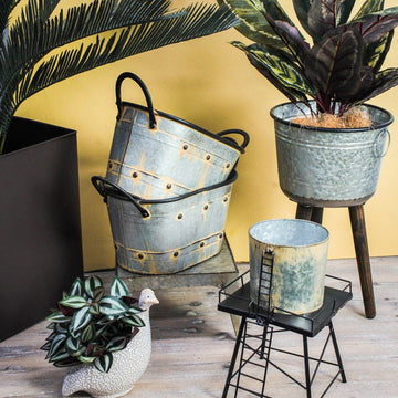 Metal Tub Planters.